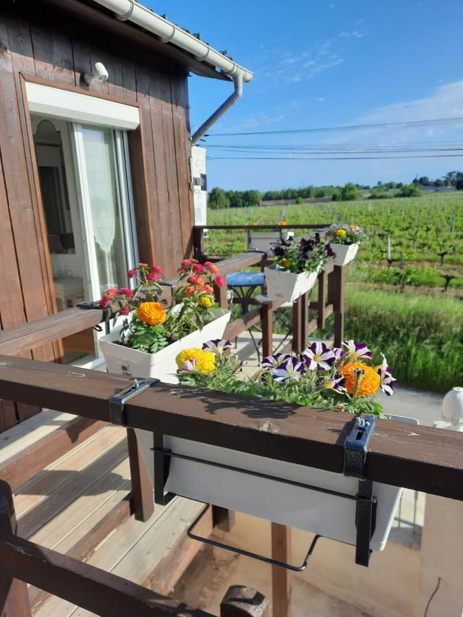 Le Domaine De Canesse Saint-Ciers-de-Canesse Bagian luar foto